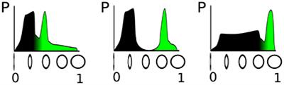 Dynamic Neural Fields with Intrinsic Plasticity